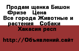 Продам щенка Бишон Фризе › Цена ­ 30 000 - Все города Животные и растения » Собаки   . Хакасия респ.